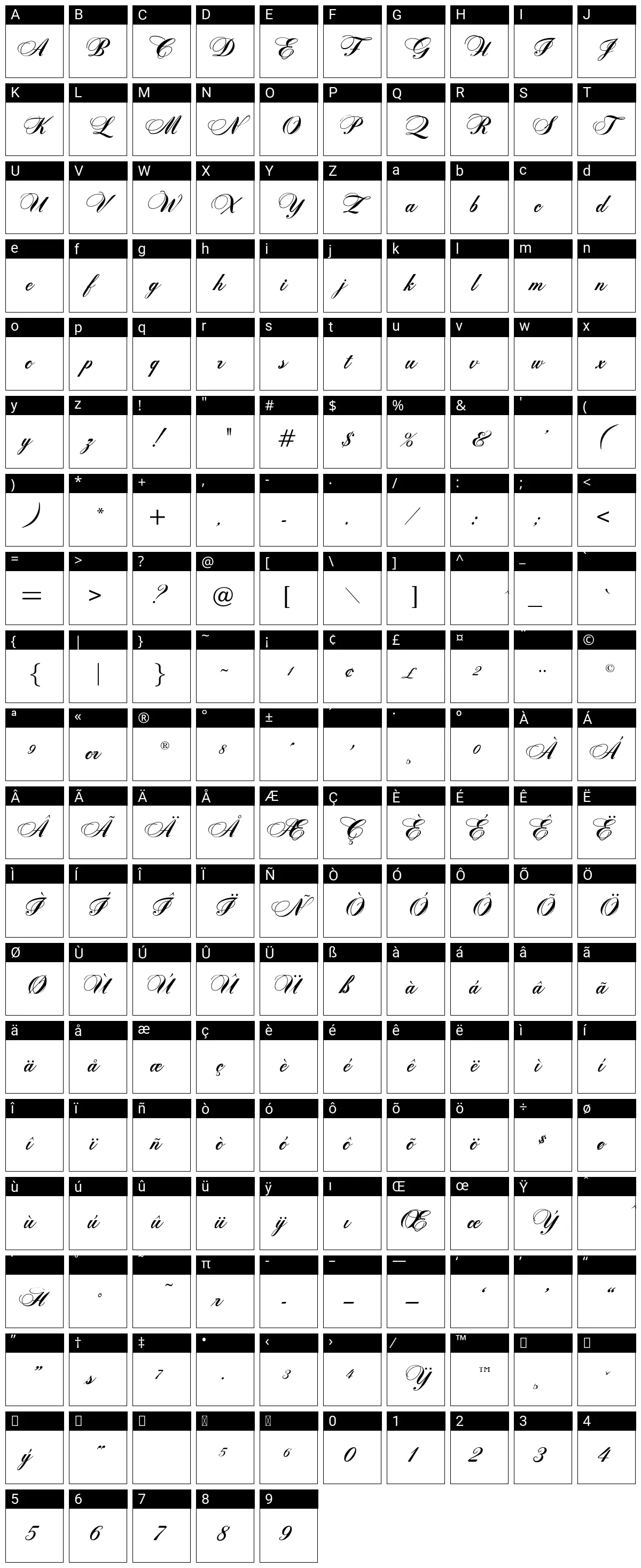 Download Zenith Script ES Regular Font for Free - fontfreedownload.com