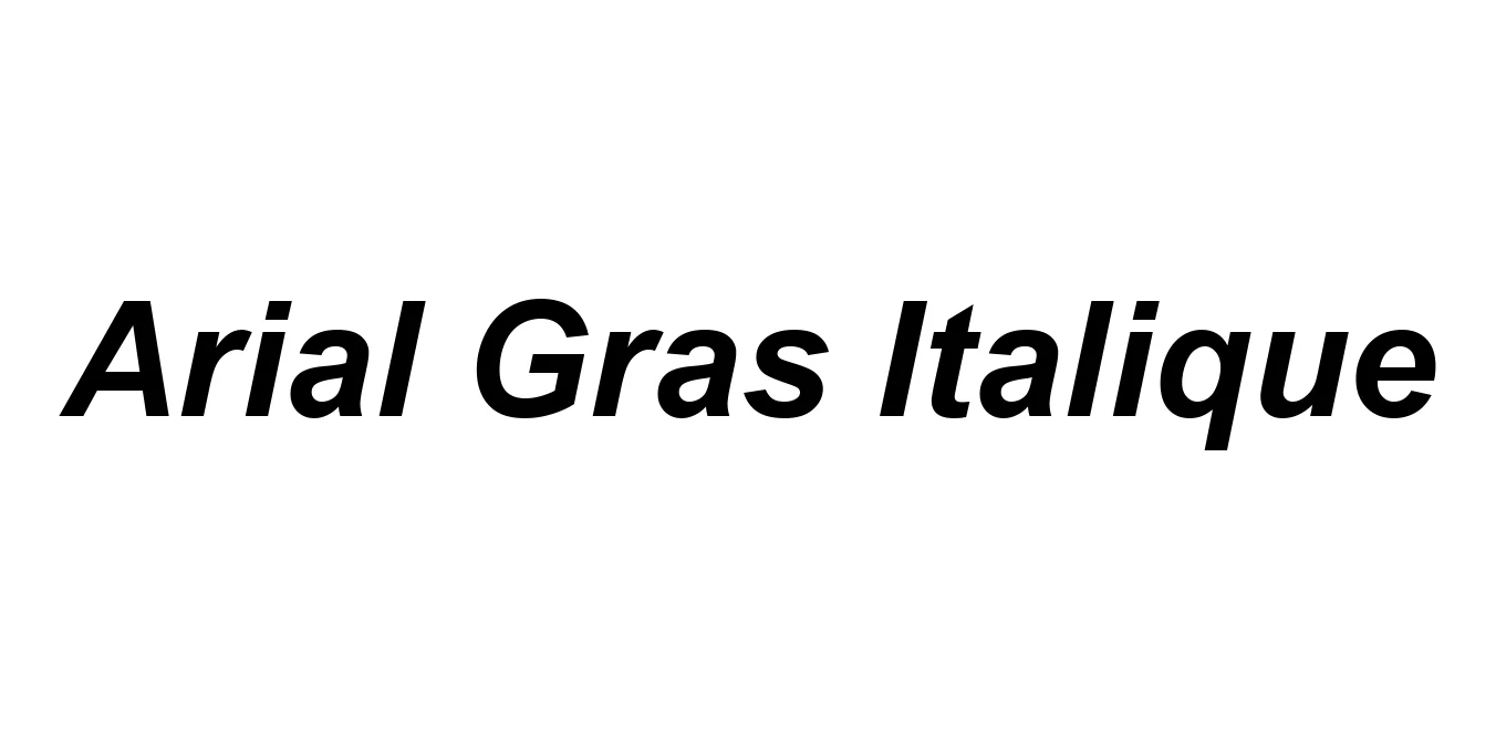 Arial Gras Italique Font Preview