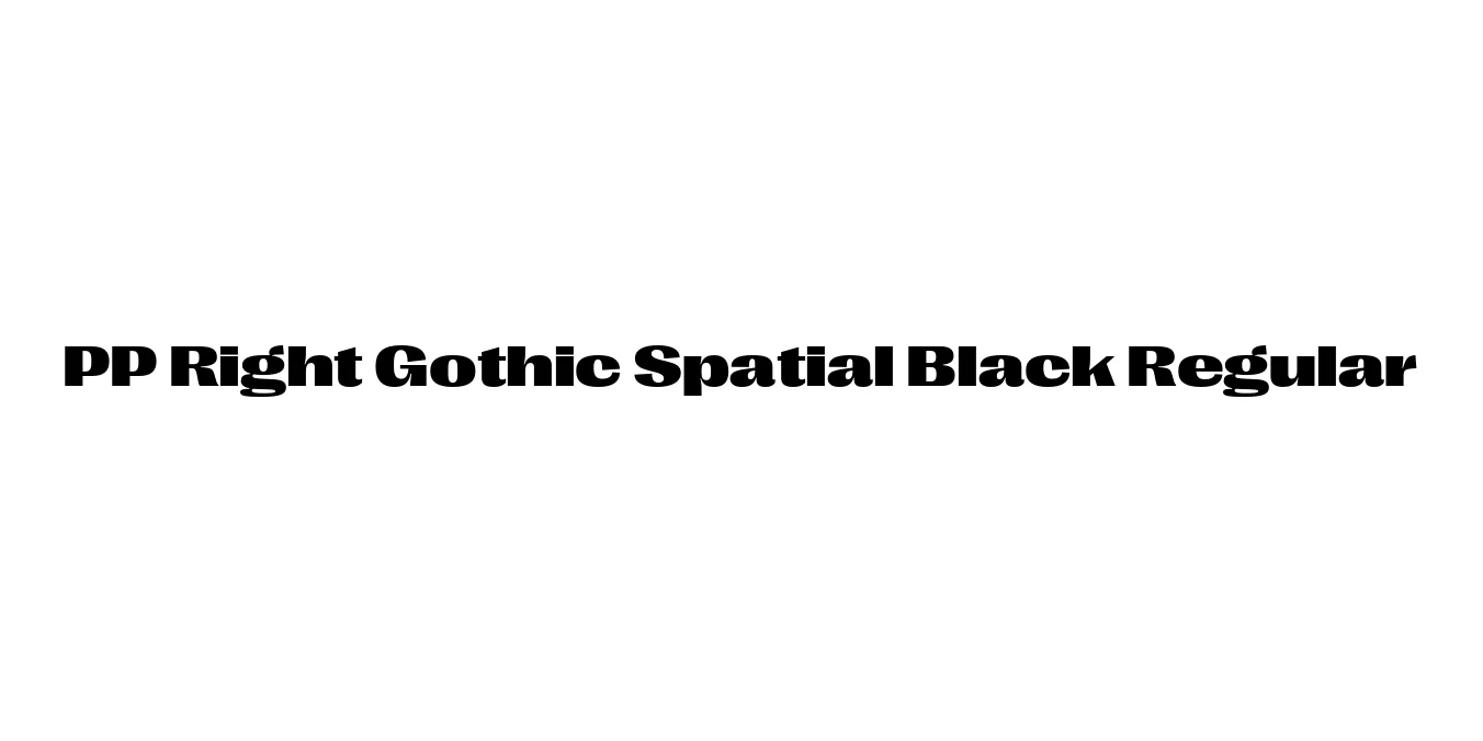 PP Right Gothic Spatial Black Regular Font Preview