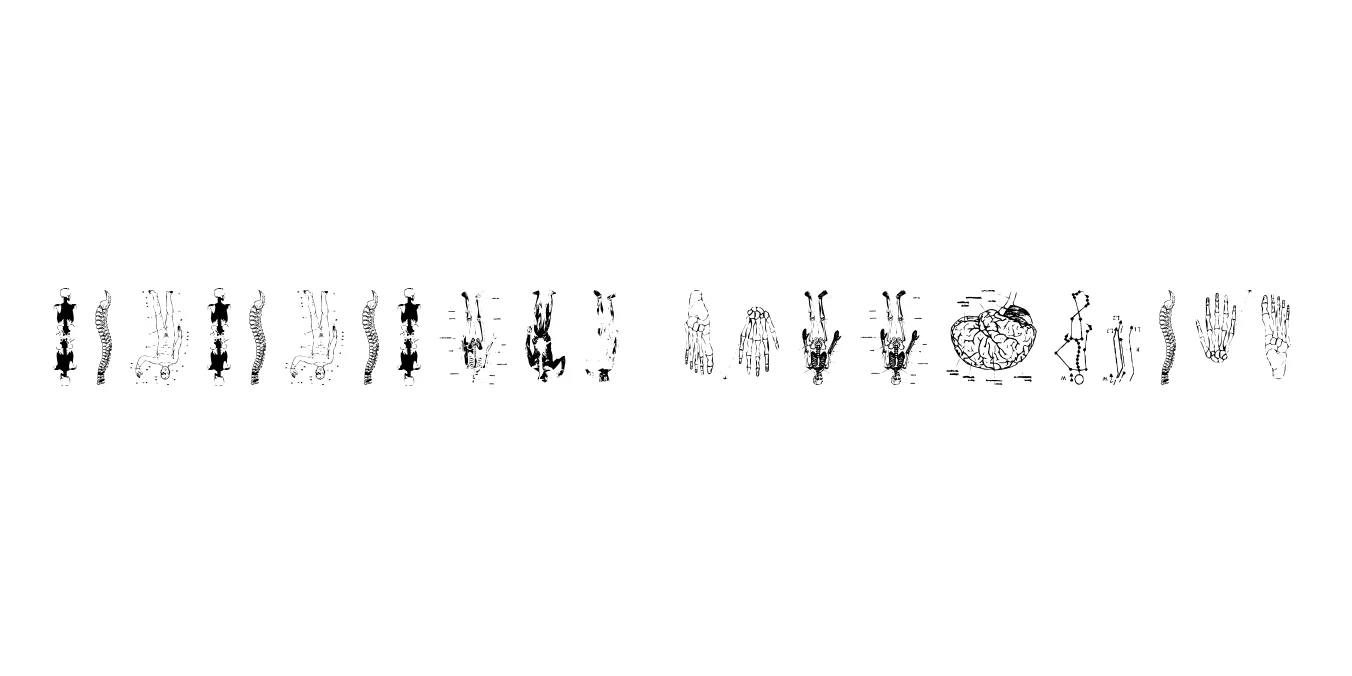 TaxTaxation Regular Font Preview