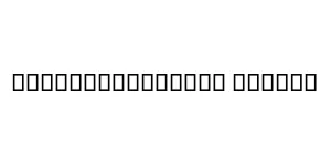 AlHurraTxtlight Italic Font