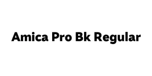 Amica Pro Bk Regular Font