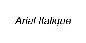 Arial Italique Font