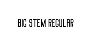 Big Stem Regular Font