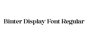 Binter Display Font Regular Font