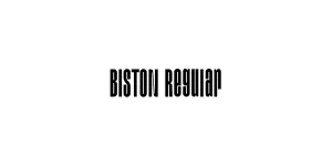BISTON Regular Font
