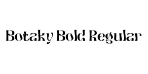 Botaky Bold Regular Font