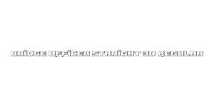 Bridge OFFicer Straight 3D Regular Font