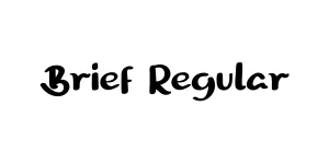Brief Regular Font