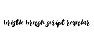 Bristle Brush Script Regular Font