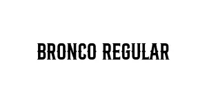 Bronco Regular Font