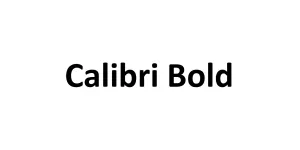 Calibri Bold Font