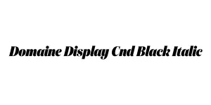 Domaine Display Cnd Black Italic Font