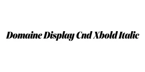 Domaine Display Cnd Xbold Italic Font
