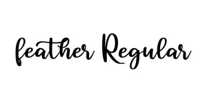feather Regular Font