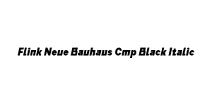 Flink Neue Bauhaus Cmp Black Italic Font
