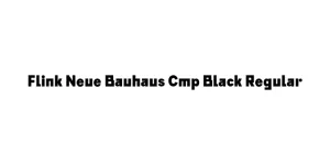 Flink Neue Bauhaus Cmp Black Regular Font