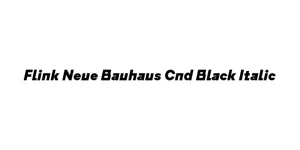 Flink Neue Bauhaus Cnd Black Italic Font