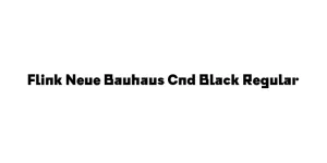 Flink Neue Bauhaus Cnd Black Regular Font