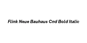Flink Neue Bauhaus Cnd Bold Italic Font