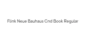 Flink Neue Bauhaus Cnd Book Regular Font