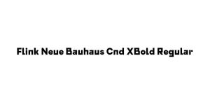 Flink Neue Bauhaus Cnd XBold Regular Font