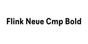 Flink Neue Cmp Bold Font
