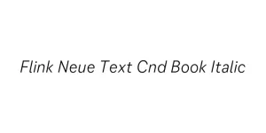 Flink Neue Text Cnd Book Italic Font