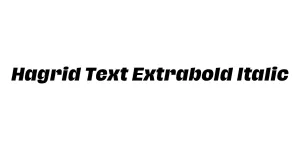 Hagrid Text Extrabold Italic Font
