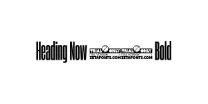 Heading Now 14 Bold Font