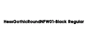 HessGothicRoundNFW01-Black Regular Font