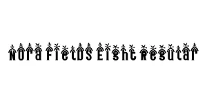 Nora Fields Eight Regular Font