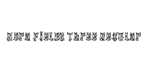 Nora Fields Three Regular Font