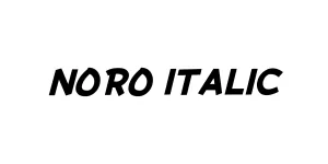 NORO Italic Font