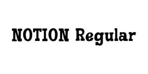 NOTION Regular Font