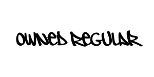 Owned Regular Font