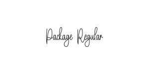 Package Regular Font