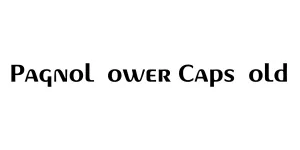 Pagnol Lower Caps Bold Font