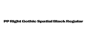 PP Right Gothic Spatial Black Regular Font