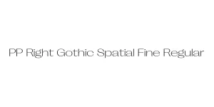 PP Right Gothic Spatial Fine Regular Font