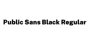 Public Sans Black Regular Font