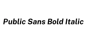 Public Sans Bold Italic Font