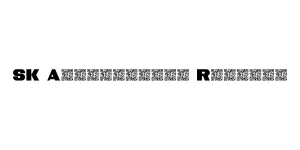 SK Akademkniga Regular Font