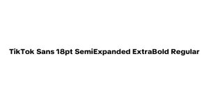 TikTok Sans 18pt SemiExpanded ExtraBold Regular Font
