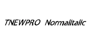 TNEWPRO NormalItalic Font