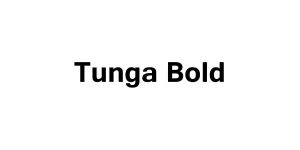 Tunga Bold Font