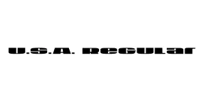 U.S.A. Regular Font